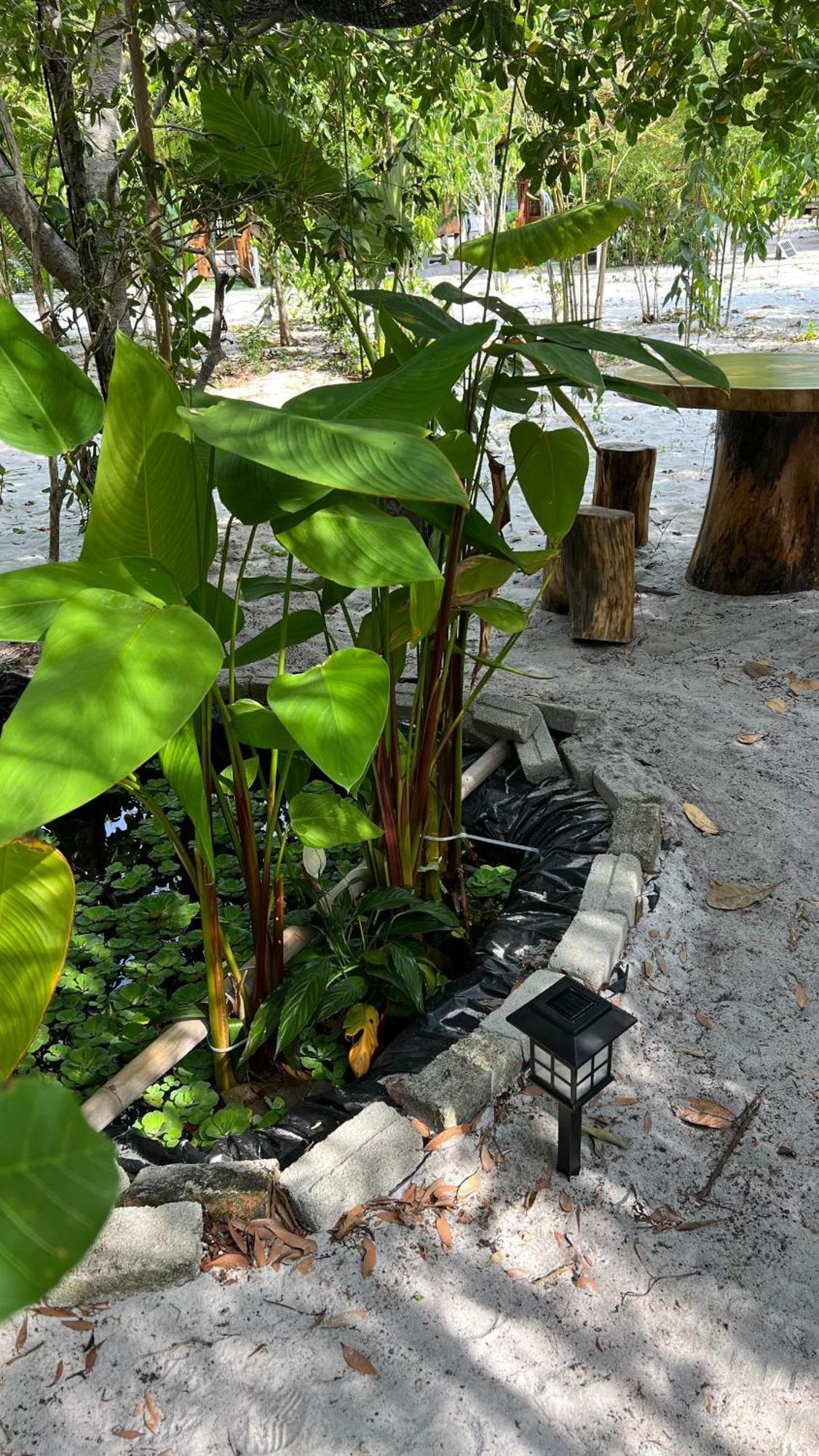 Golden Chenang Village Pantai Cenang  Eksteriør bilde