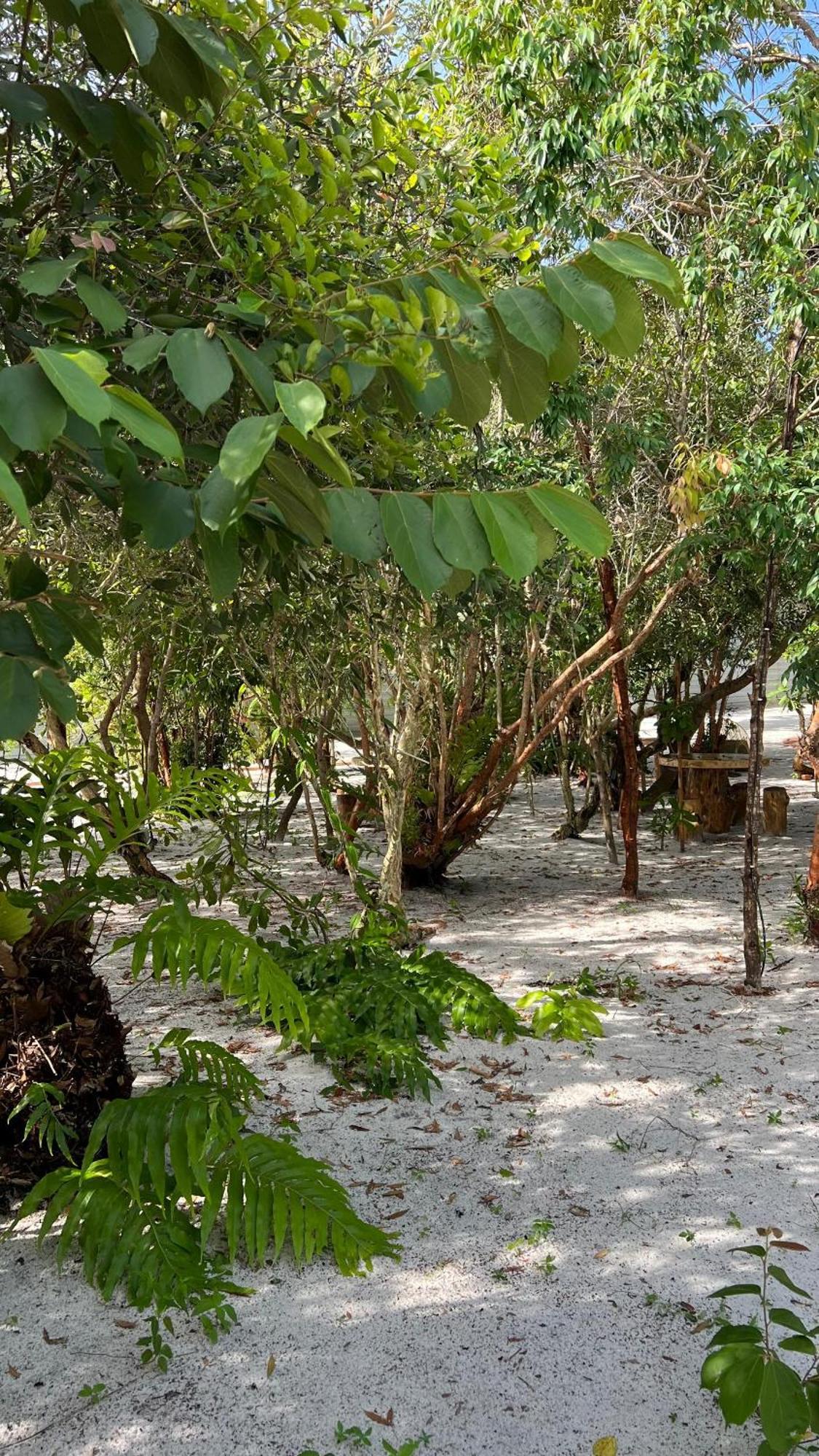 Golden Chenang Village Pantai Cenang  Eksteriør bilde