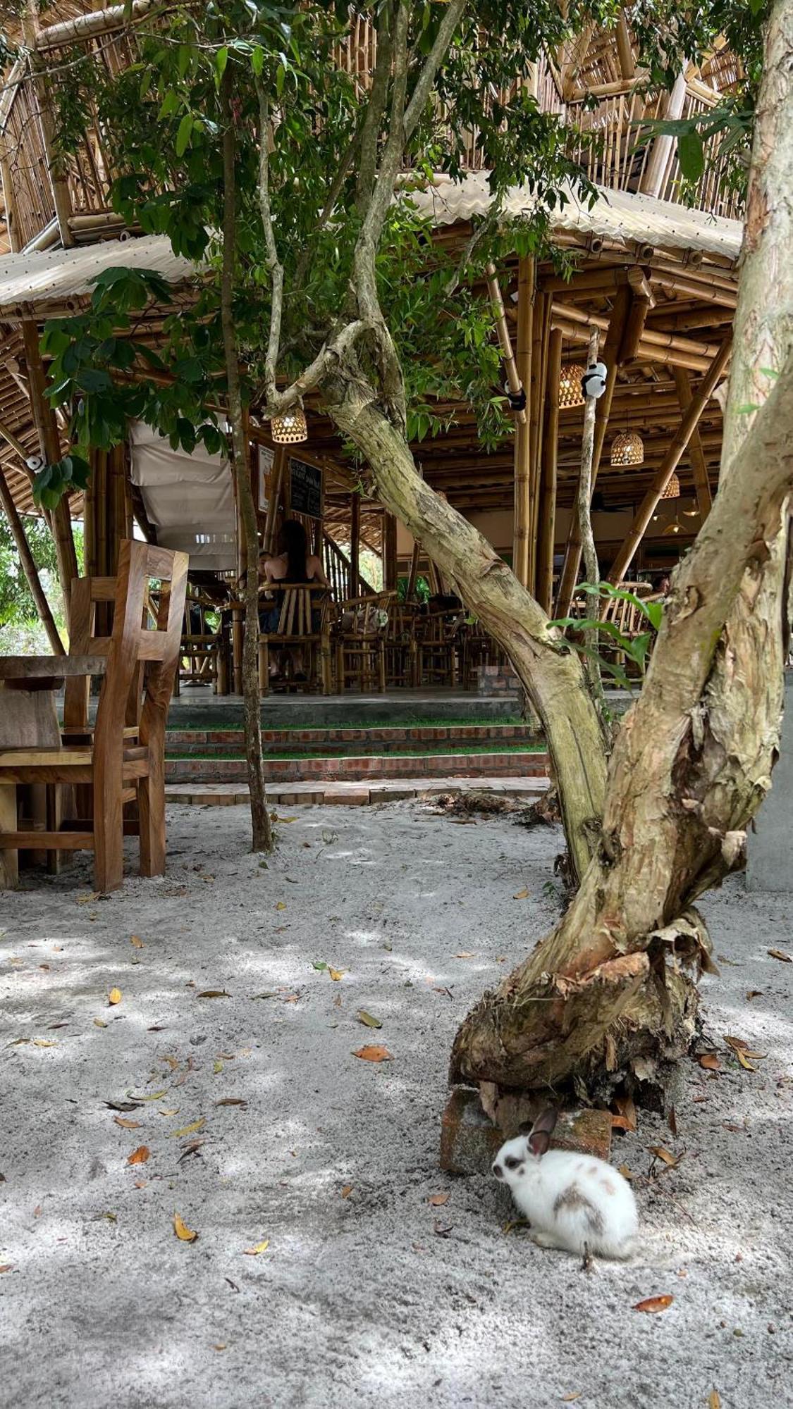 Golden Chenang Village Pantai Cenang  Eksteriør bilde