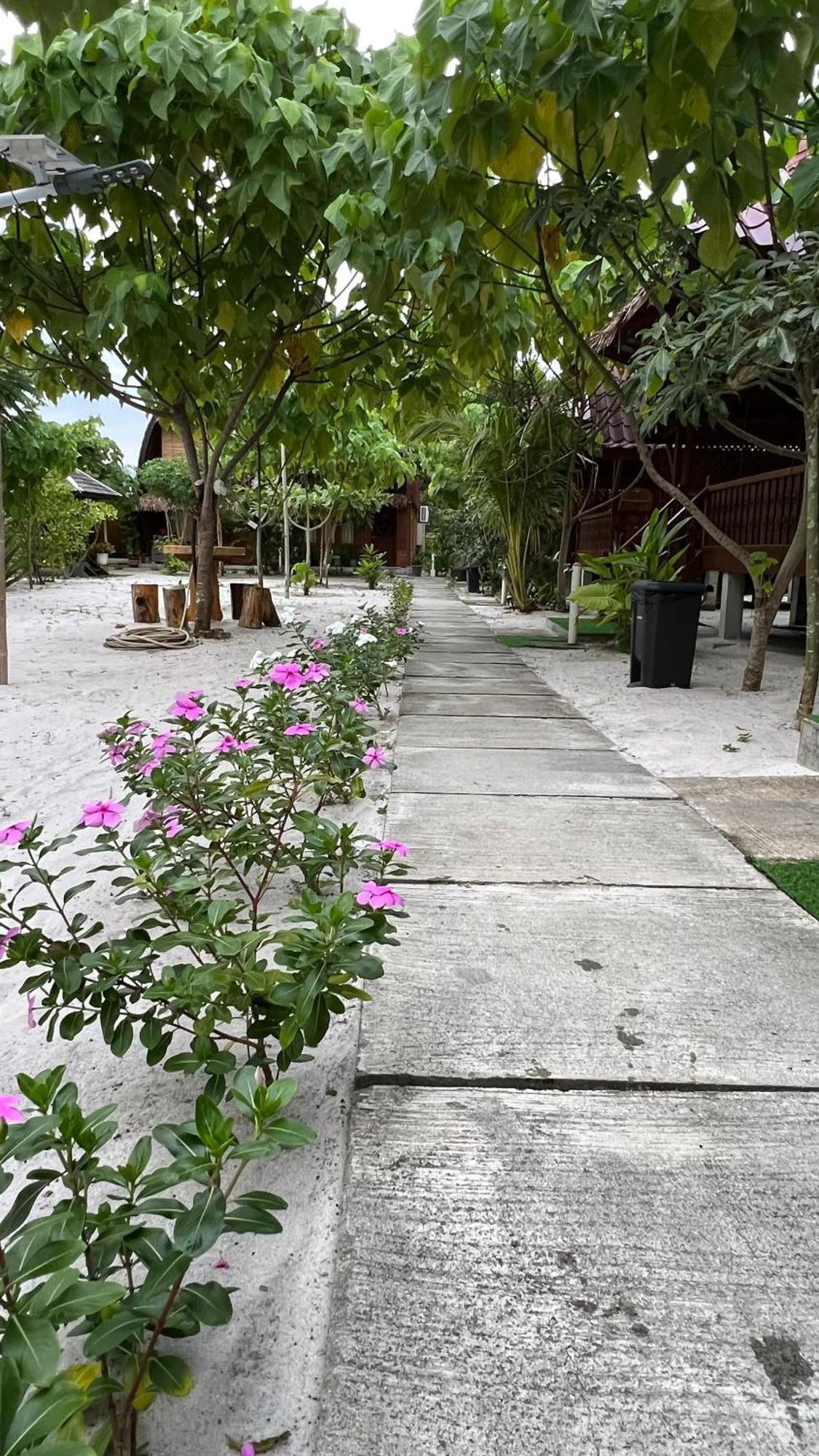 Golden Chenang Village Pantai Cenang  Eksteriør bilde